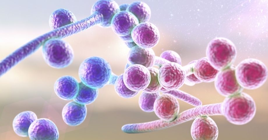 What is Candida? - Part 2