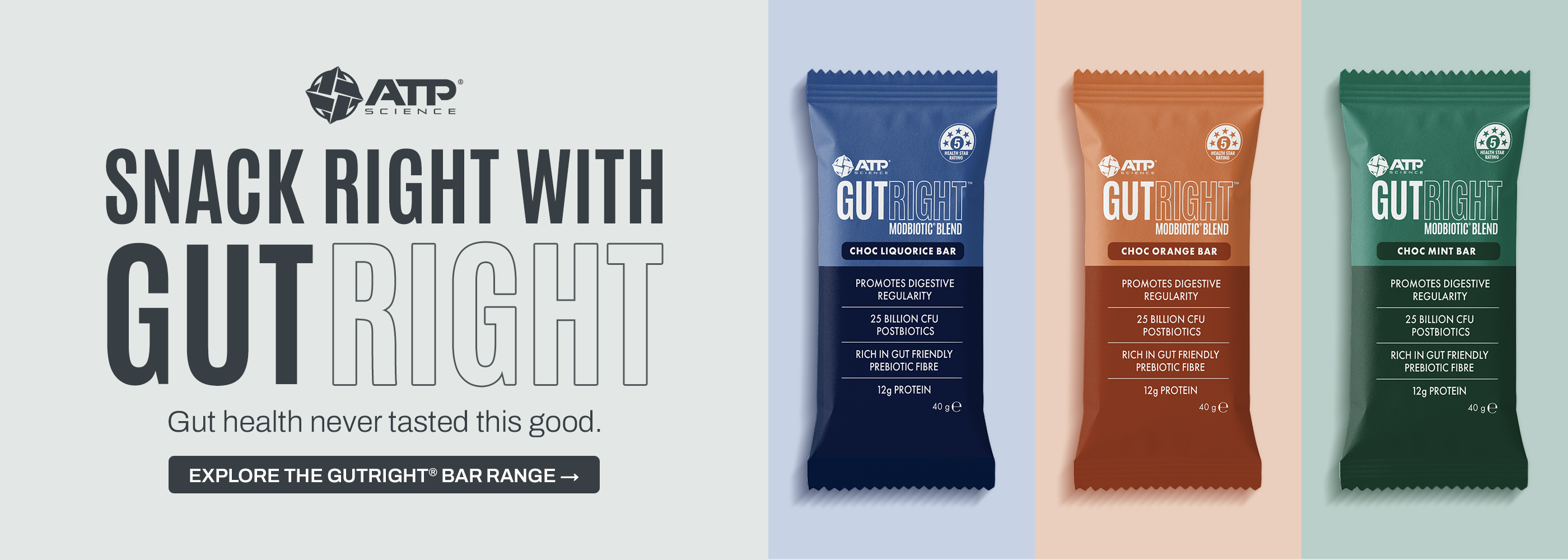 Gutright™ Bar