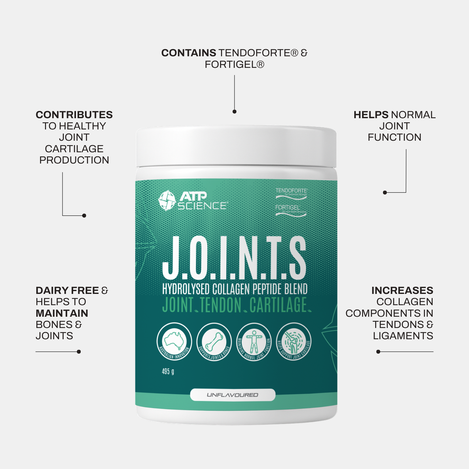 JOINTS