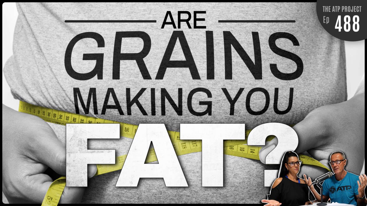 Are Grains Making You Fat?