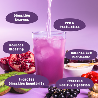 GOODGUT™ Gut Support Blend Powder - Blackcurrant