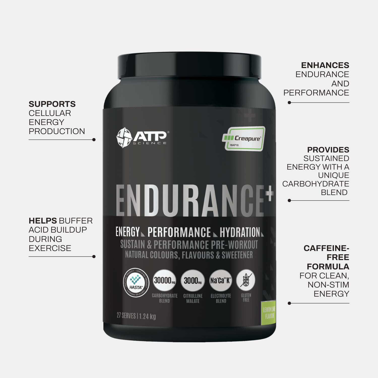 Endurance Plus - Lemon Lime