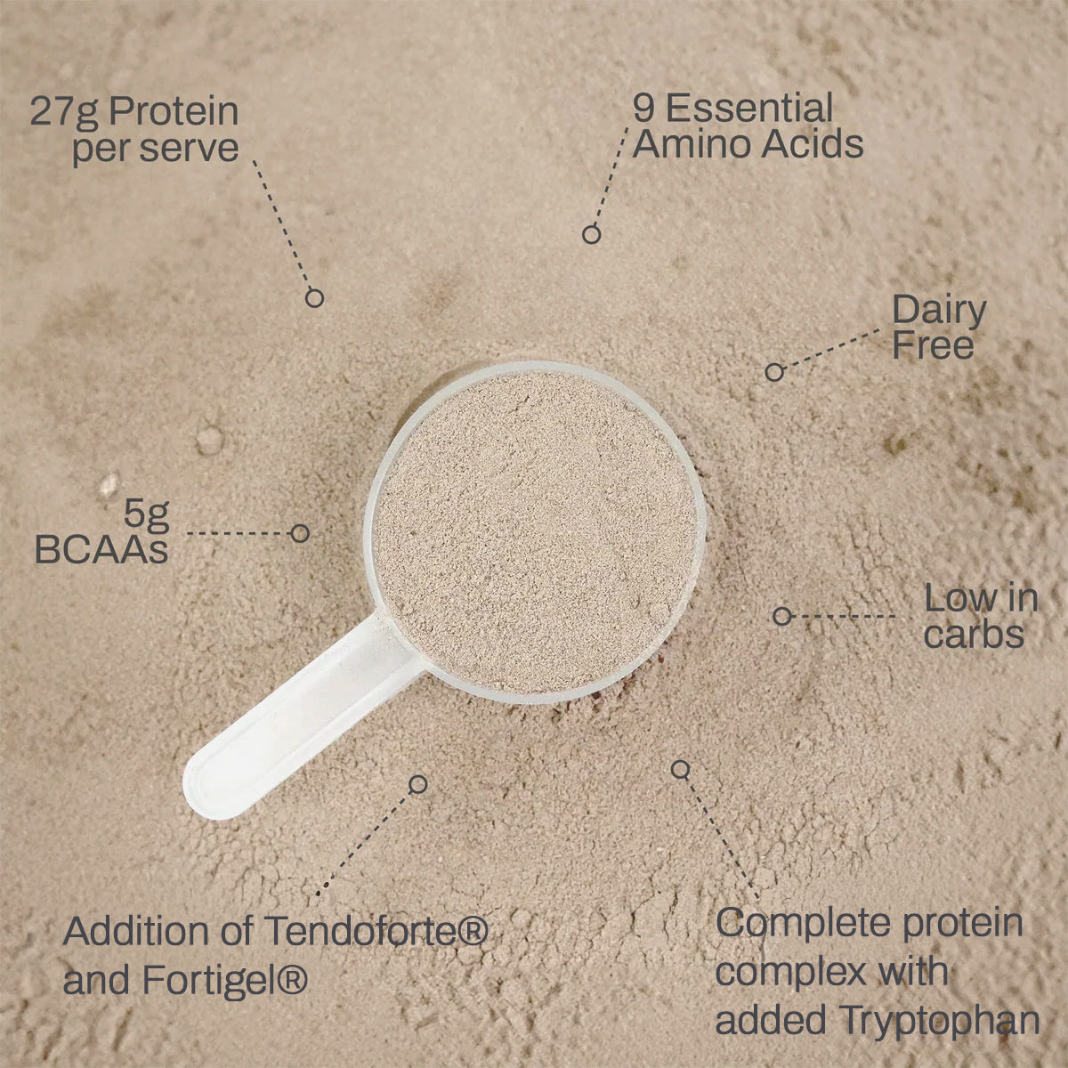 Protein Plus - Chocolate