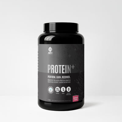 Protein Plus Collagen Protein - Raspberry